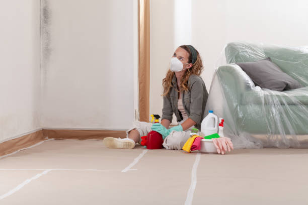 Reliable Mold Remediation contractor in Enetai, WA by 24 Hour Mold Removal